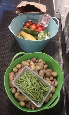 Vegetables grown on our allotment