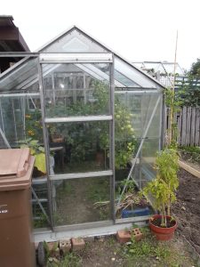 Small greenhouse