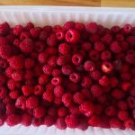 Container full with raspberries