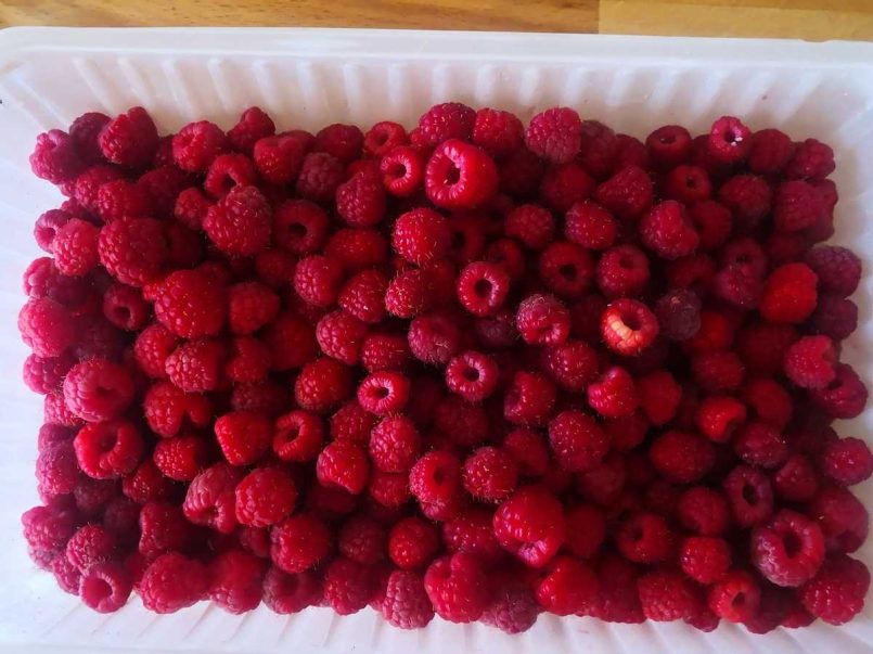 Container full with raspberries