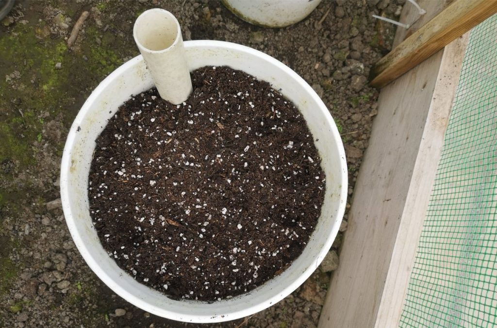 Bucket wick system - filled with compost and perlite