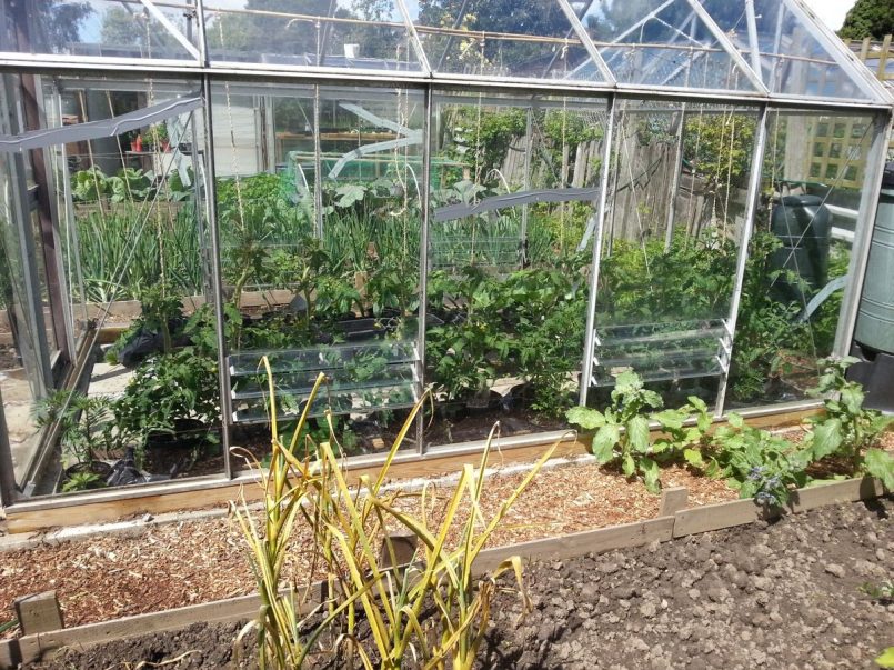 Watering in a greenhouse