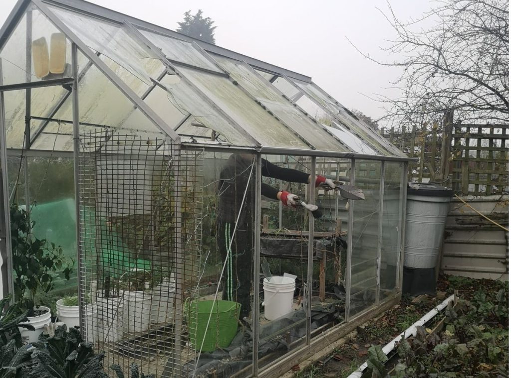 Greenhouse smashed by stones