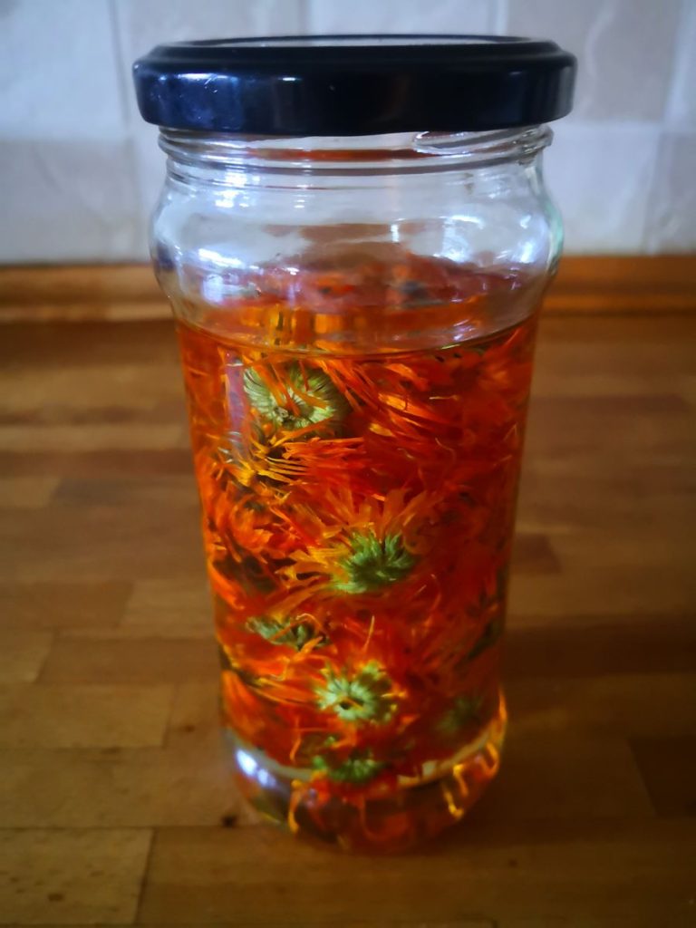 Soaking calendula flowers in oil