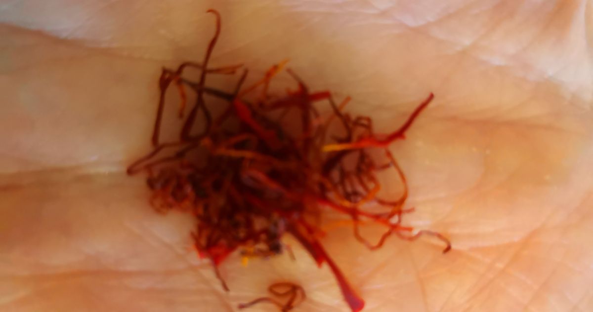 Saffron substitute