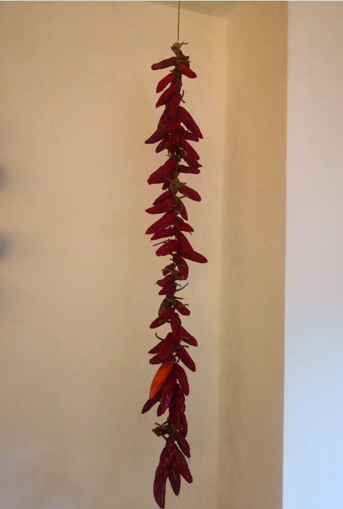 Drying chillies by hanging